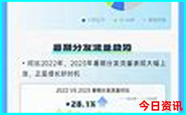 新澳今晚开什么号码131期